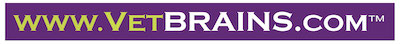 vetbrains® corporate logo;